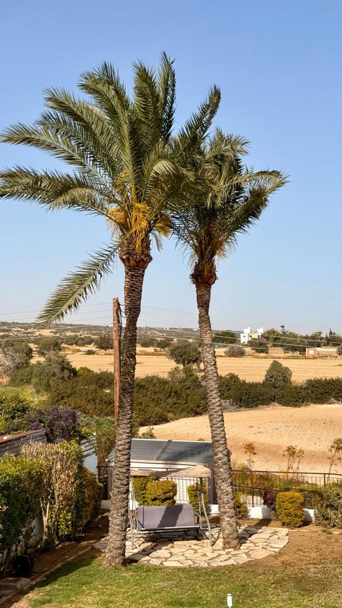 Villa Hera Agios Theodoros Екстер'єр фото